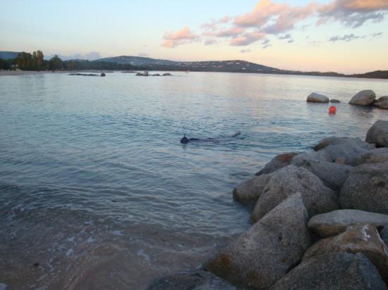 San Ciprianu,la Baie..