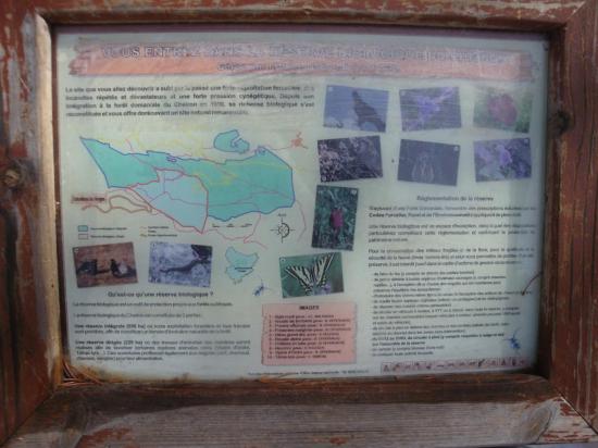 DSC07970