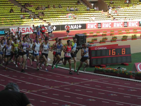 1000 m Herculis 2012 !